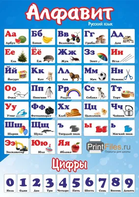 Плакат обучающий Империя поздравлений Алфавит русский на стену в школу  детский А2 купить по цене 215 ₽ в интернет-магазине Детский мир