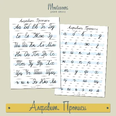 Большие деревянные буквы \"Русский алфавит\", набор карточек Smile-Decor  14797805 купить за 1 967 ₽ в интернет-магазине Wildberries