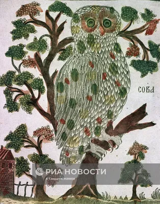 Значок Русский лубок XVII века №17-97337 за 70 руб в интернет-магазине  «Монеты»