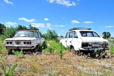 Самые популярные автомобили в России-2023