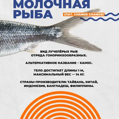 На волне перемен: как адаптация поможет сохранить запасы промысловых рыб  для будущих поколений | Euronews