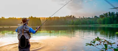 Рыбалка на Дону в Липецкой области: места и способы для ловли рыбы