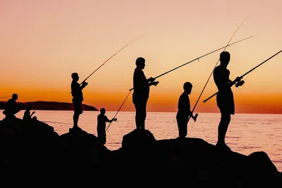 Рыбалка и охота