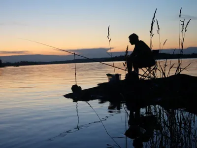 Лучший отдых в любое время года — рыбалка на Гоа - UniGid.com