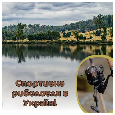 Рыбалка в Ростовской области 2024—2025: лучшие места, где можно ловить рыбу