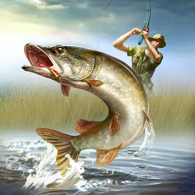 Особенности национальной рыбалки на водоёмах от Твери до Камчатки - «Охота  на Рыбалку»