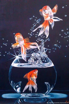Все о золотых рыбках история и виды.. - Marlin Aquarium
