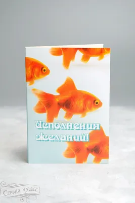 Комета красная - золотая рыбка Carassius auratus / Золотые рыбки /  Аквариумные рыбки / КАТАЛОГ ТОВАРОВ / Аквадом - зоомагазин
