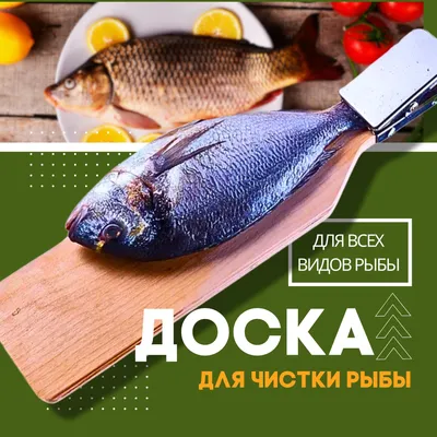 Свежая охлаждённая рыба купить в СПб с доставкой