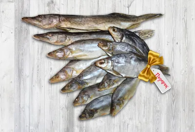 Вылов рыбы в этом году достигнет максимума за все постсоветское время -  Российская газета