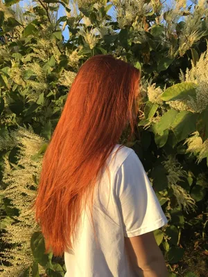 Рыжие волосы | Прямые рыжие волосы, Натуральный рыжий цвет волос, Рыжие  волосы