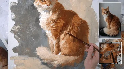 Рыжий кот :: Ольга (crim41evp) – Социальная сеть ФотоКто