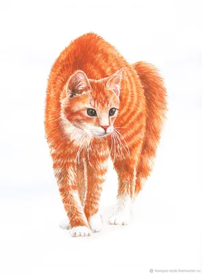 Рыжий кот стоковое фото. изображение насчитывающей кот - 61807368