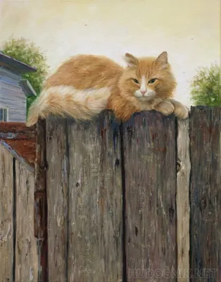 Рыжий кот :: Алексей Архипов – Социальная сеть ФотоКто