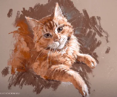 Пушистый рыжий кот - Фотоконкурс - MySlo.ru
