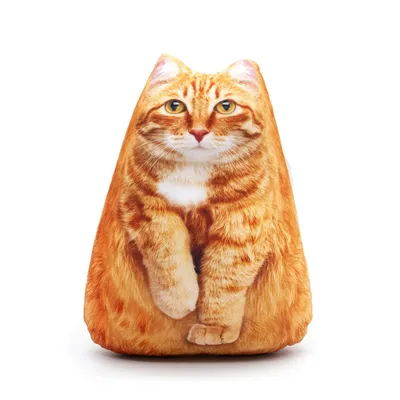 Фотогеничный рыжий кот. | Пикабу