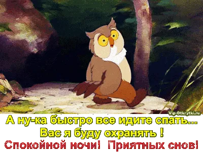 Прикольный спящий зверёк - Скачайте на Davno.ru