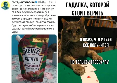 Лучшие приколы - поднимаем настроение веселыми картинками