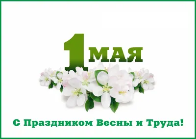 Поздравление Российского Союза боевых искусств с 1 мая!