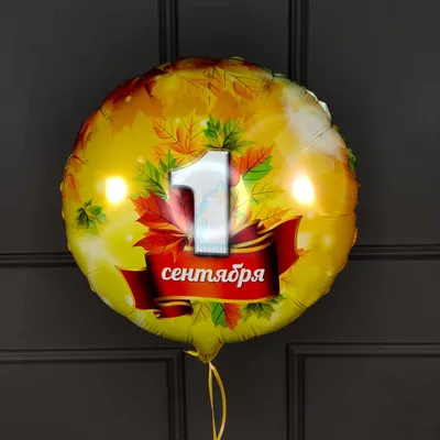 Фольгированный круглый шар с 1 сентября купить в Москве - заказать с  доставкой - артикул: №1619
