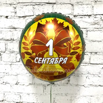 Фотозона с шарами на 1 сентября - купить в Москве | SharFun.ru