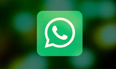 WABetaInfo on X: \"After installing the latest WhatsApp beta for Android  2.23.16.4 update, some beta testers may notice that those items placed  within the top app bar now adopt a white color.