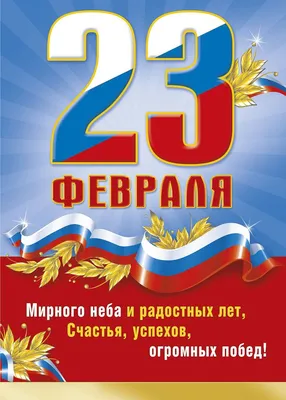 Мужик с 23 февраля 4\" Изображение для нанесения на одежду № 1731 купить со  скидкой в интернет-магазине СувенирПрофф - Красноярск