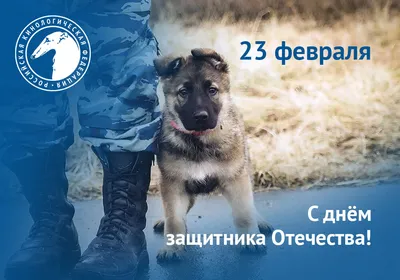 Поздравительная картинка пограничнику с 23 февраля - С любовью,  Mine-Chips.ru