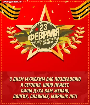 С 23 февраля Зятю от Тёщи: открытки, поздравления, гифки, аудио от Путина