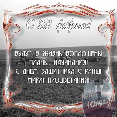 Открытка с 23 февраля Зятю от Тёщи, с пожеланием • Аудио от Путина,  голосовые, музыкальные