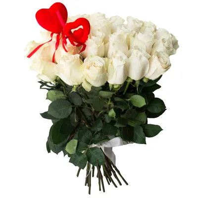 Белые с окантовкой от 41 шт. за 12 190 руб. | Бесплатная доставка цветов по  Москве