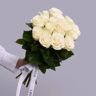 Купить белые розы с доставкой в Химки или Куркино, букет из больших белых  роз