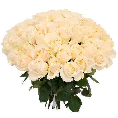 Большой красивый букет из белых роз - 50 шт купить с доставкой по Томску:  цена, фото, отзывы