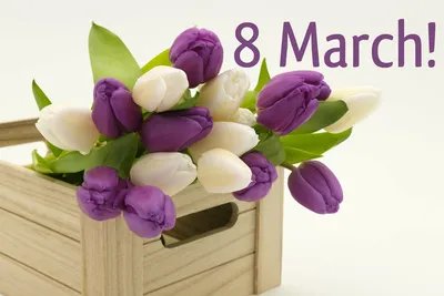 8 марта, светлые тюльпаны | Тюльпаны, Картинки, Открытки