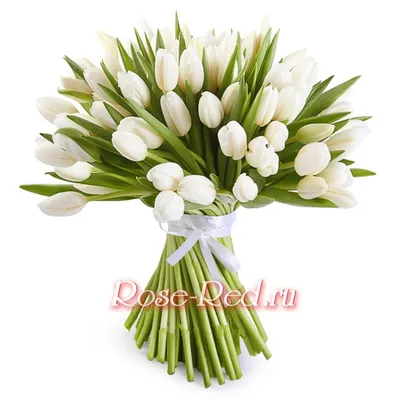Тюльпаны на 8 марта купить в Москве ✿ Доставка: 0 ₽ при заказе от 3 000 ₽ ✿  Букеты цветов от Venus in Fleurs