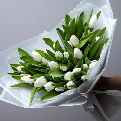 Какие цветы и кому лучше дарить на 8 марта