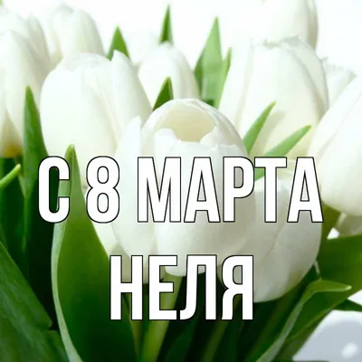 Белые и желтые тюльпаны на 8 марта - обои для рабочего стола, картинки, фото