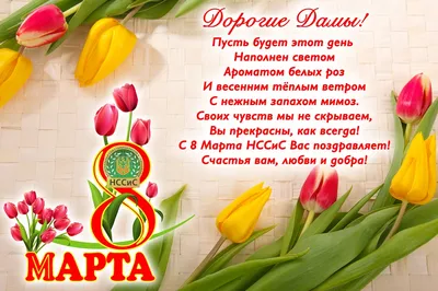 Поздравляем с праздником 8 марта! - НАО «ПКБ»