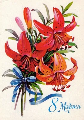 Коробочка лилии - Доставкой цветов в Москве! 7397 товаров! Цены от 487 руб.  Цветы Тут