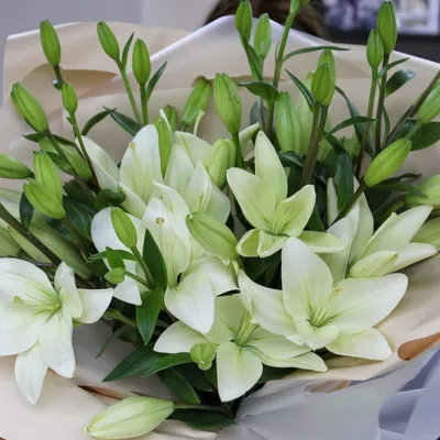 Букет 3 лилии Белая красавица купить за 3 150 руб. с круглосуточной  доставкой | Мосцветторгком