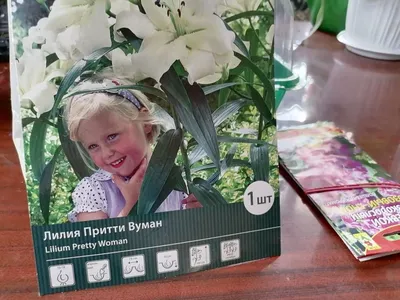 Купить розовые лилии, доставка по Москве круглосуточно.