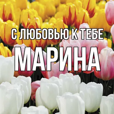 Пин от пользователя Marina Fedoseenko на доске С Днём 8 Марта! | Март,  Праздник, Нежности