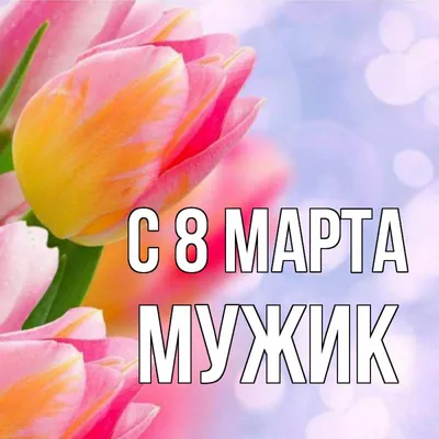 Дорогие девушки, с праздником, с 8 марта! 💐 ❗Мужики, успеваем подкачаться,  сегодня зал АМЗ работает с 8:0.. | ВКонтакте