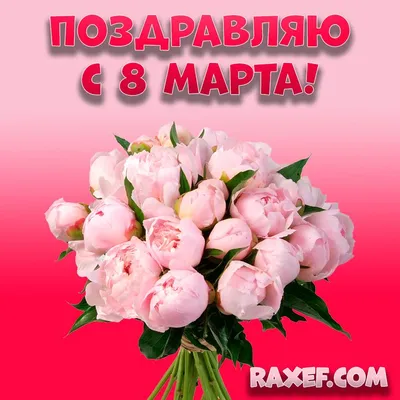 Коробка 15 \"Сара Бернар\" Black купить в Москве с доставкой недорого – id  929 | Roses Delivery