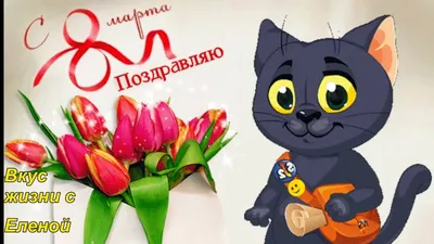 Коты поздравляют с 8 марта! - ЯПлакалъ