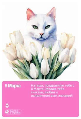 Маркиз на 8 марта - Мои котики - Галерея - Форум \"Прекрасные кошки\"