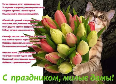 С 8 марта. Букет котов - online presentation