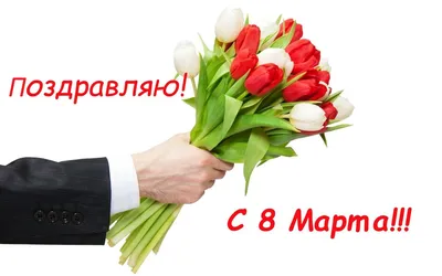Обои на рабочий стол В руке парня букет весенних тюльпанов, (Поздравляю с 8  марта! ), обои для рабочего стола, скачать обои, обои бесплатно