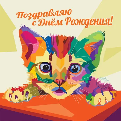 Ни одно животное не пришло в цирк добровольно»: в Беларуси появилась  петиция о запрете цирков с животными — Вечерний Гродно