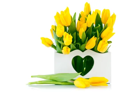 Открытка С 8 марта \"Желтые пюльпаны\", скачать бесплатно открытку #708.